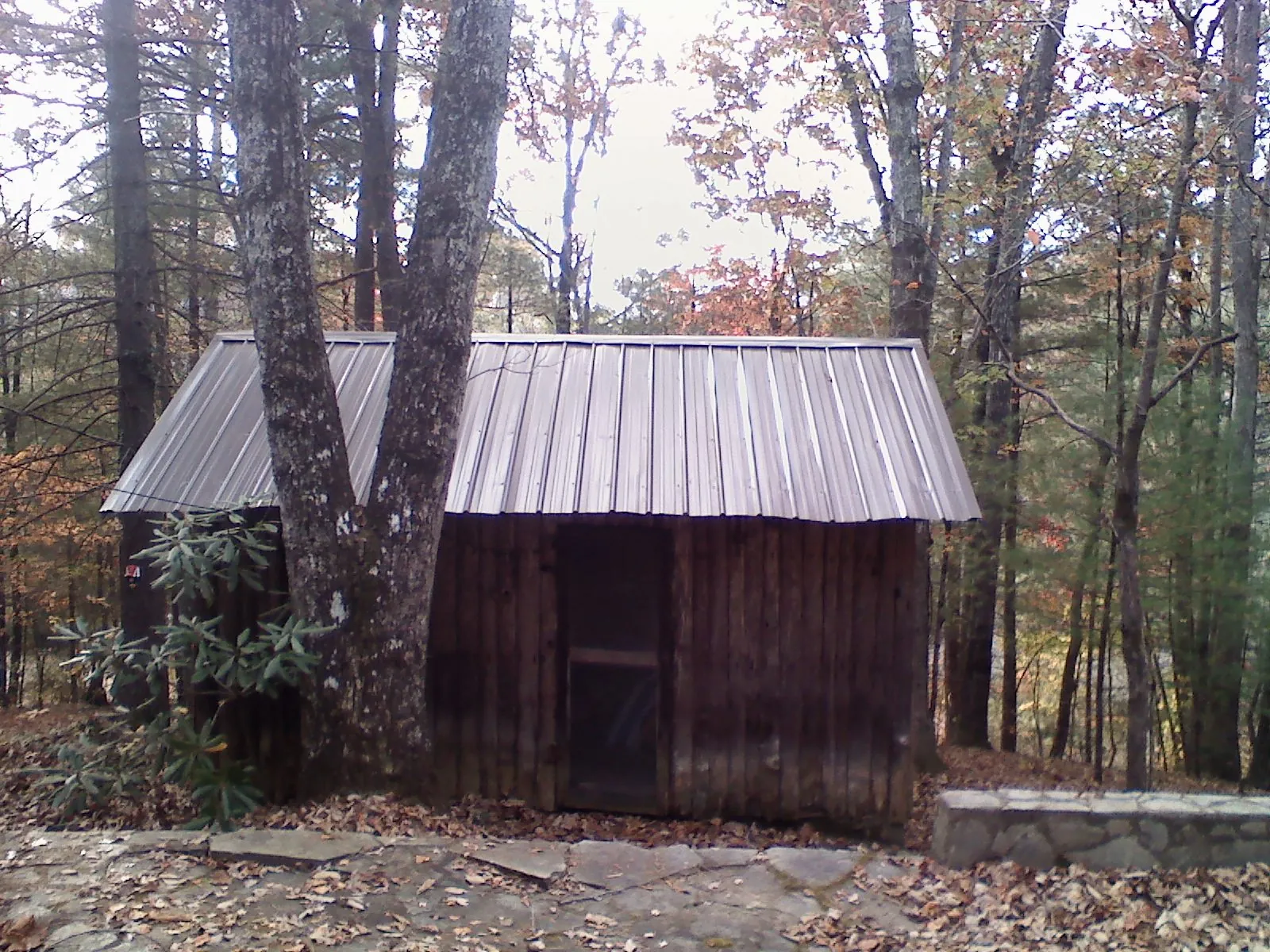 New metal gable roof on a small log shed among the trees in Redvale