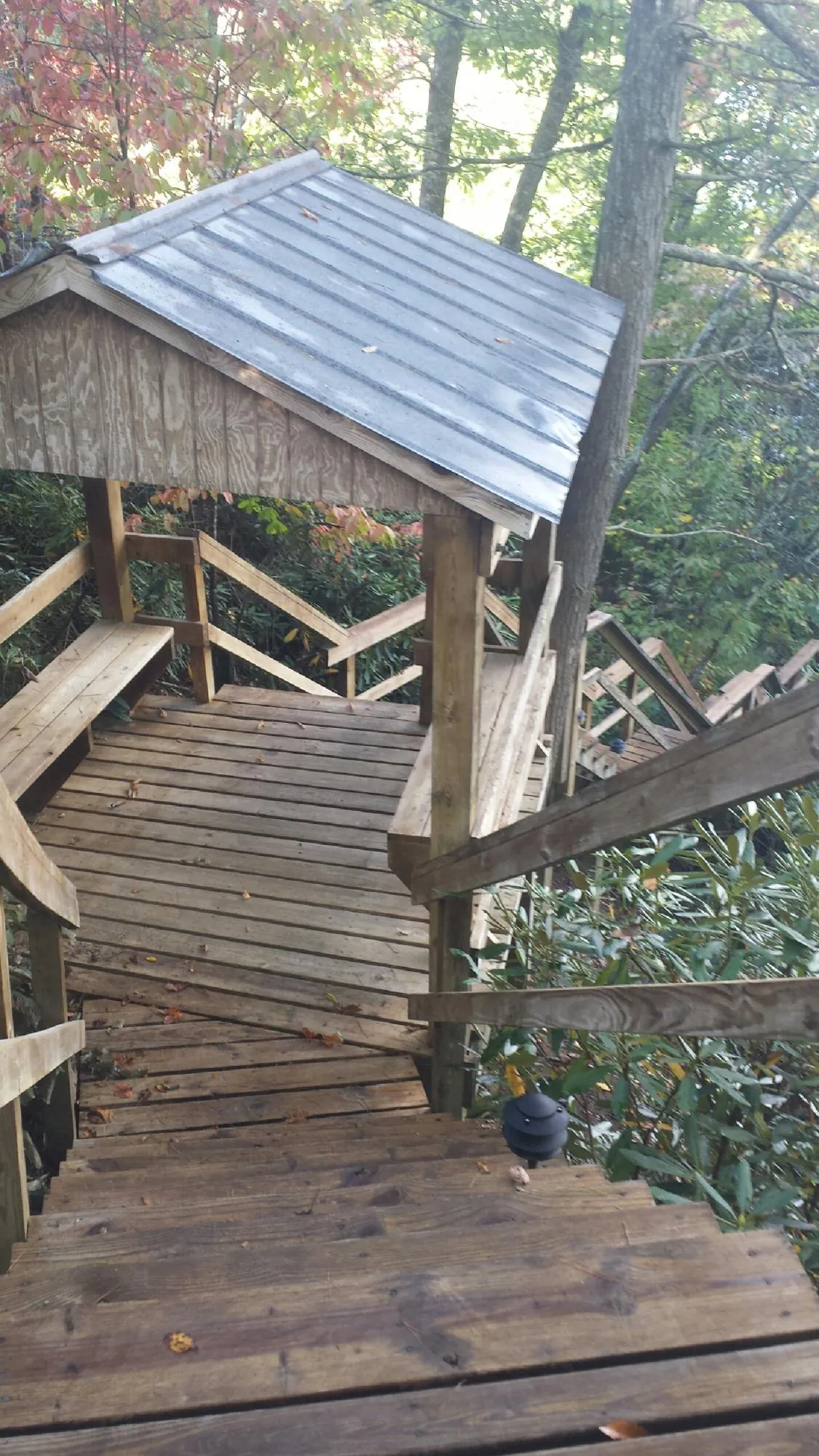 Metal roofed shelter over wooden steps on a wooded walkway — Skylight Repair & Installation work by our crew in Redvale